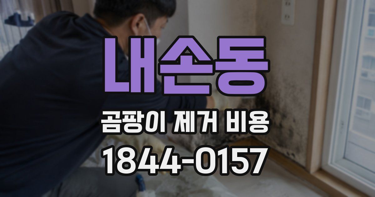 내손동 곰팡이 제거 비용