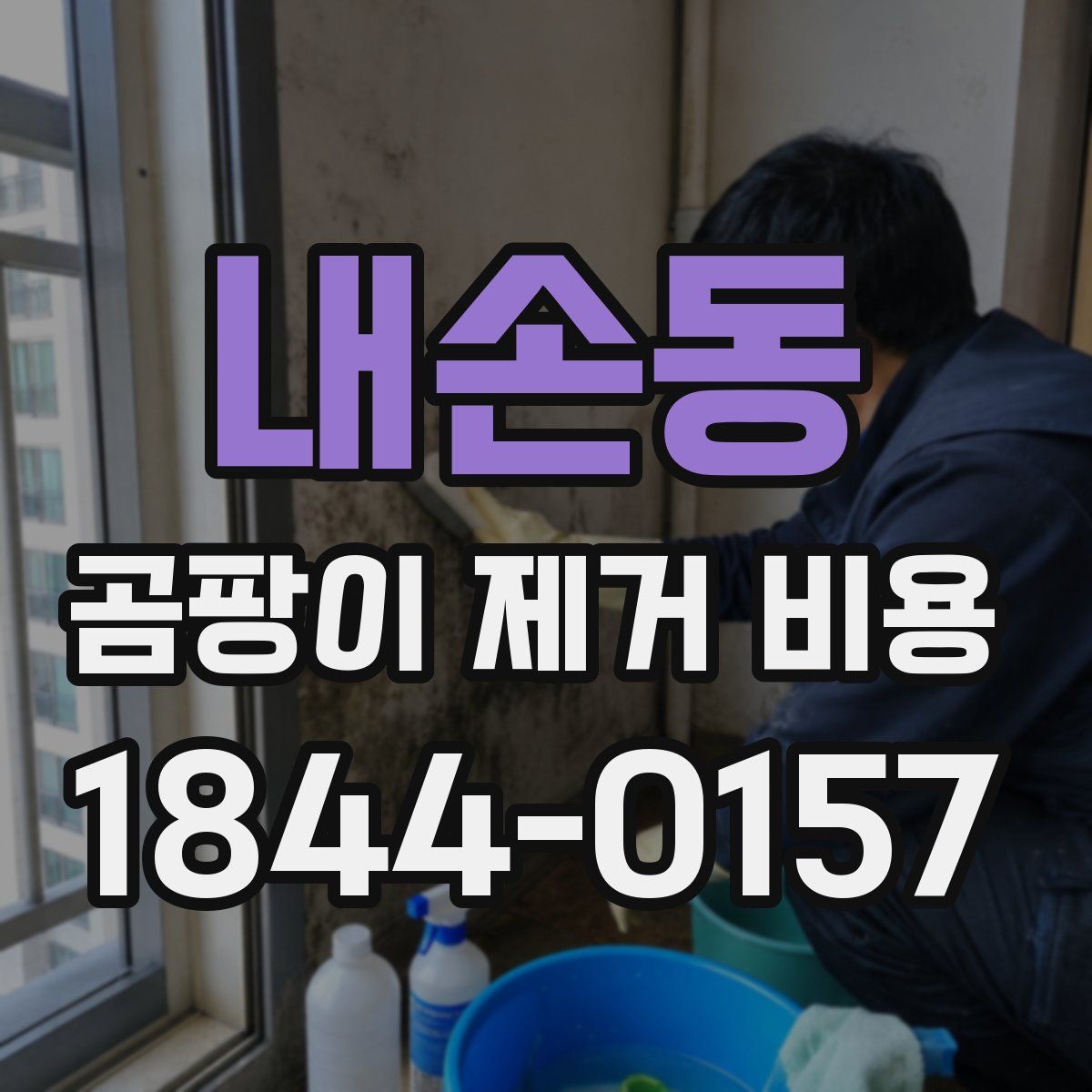 내손동 곰팡이 제거 비용