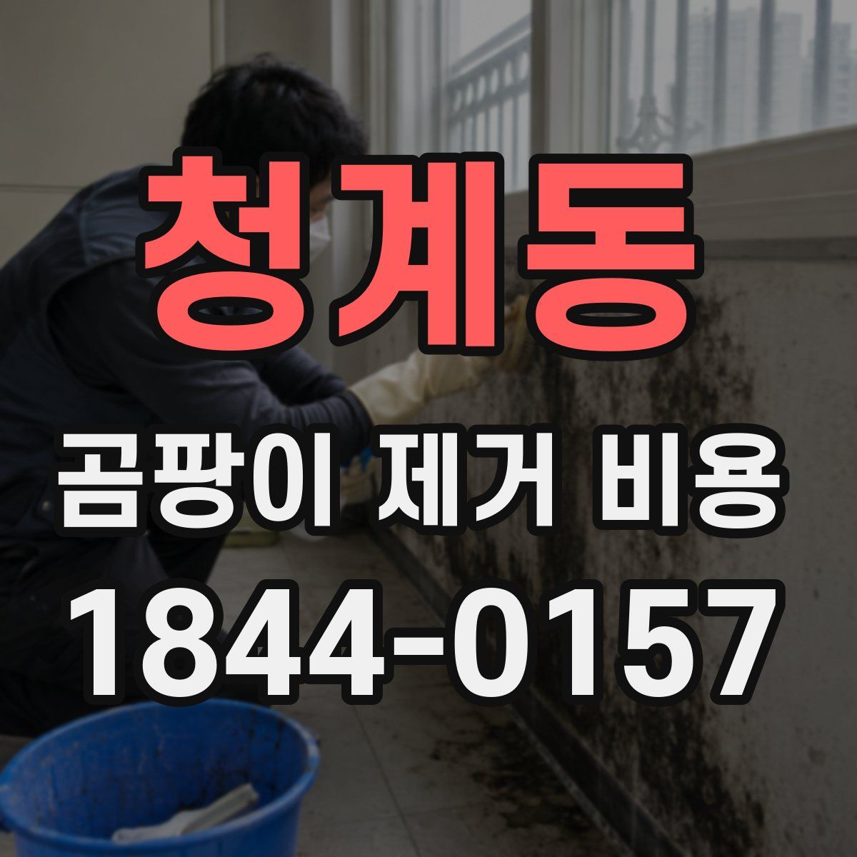 청계동 곰팡이 제거 비용