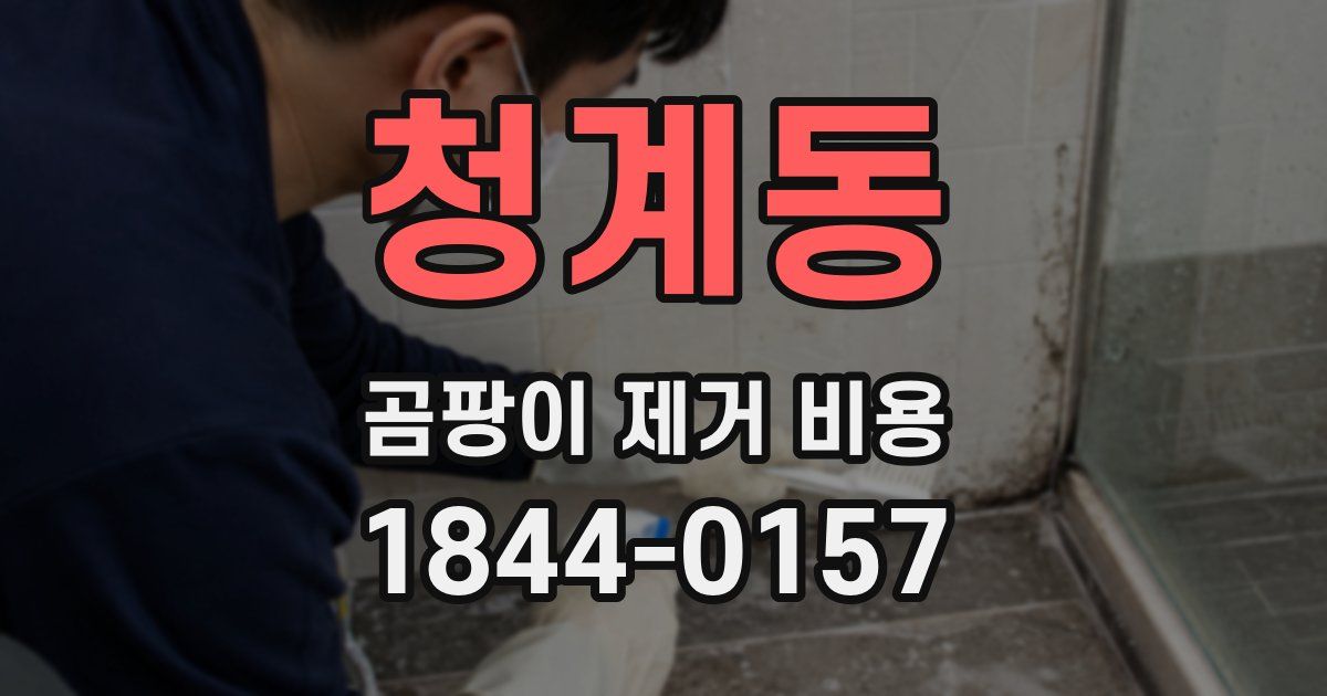 청계동 곰팡이 제거 비용