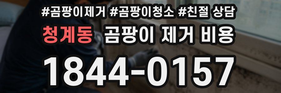 청계동 곰팡이 제거 비용