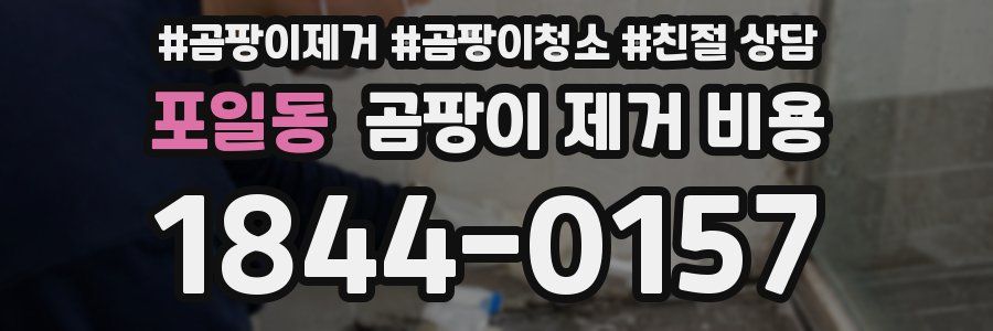 포일동 곰팡이 제거 비용
