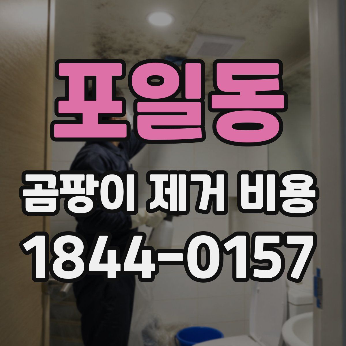 포일동 곰팡이 제거 비용