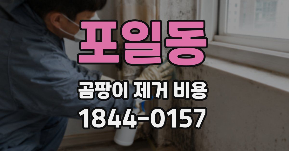 포일동 곰팡이 제거 비용