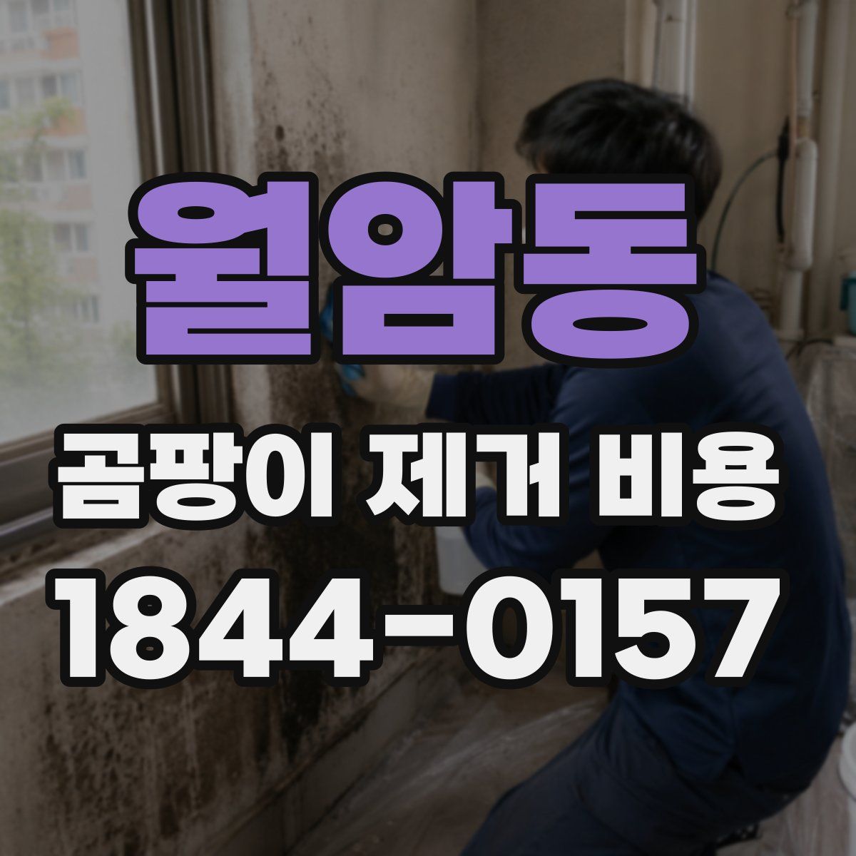 월암동 곰팡이 제거 비용