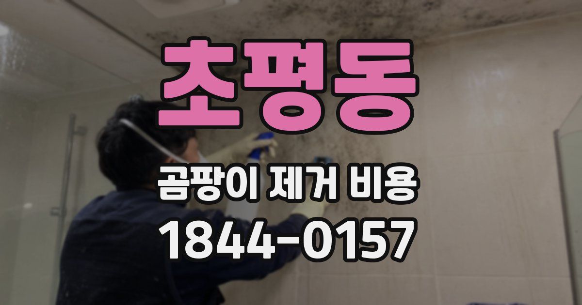 초평동 곰팡이 제거 비용