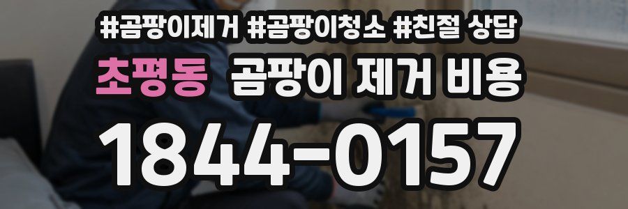 초평동 곰팡이 제거 비용
