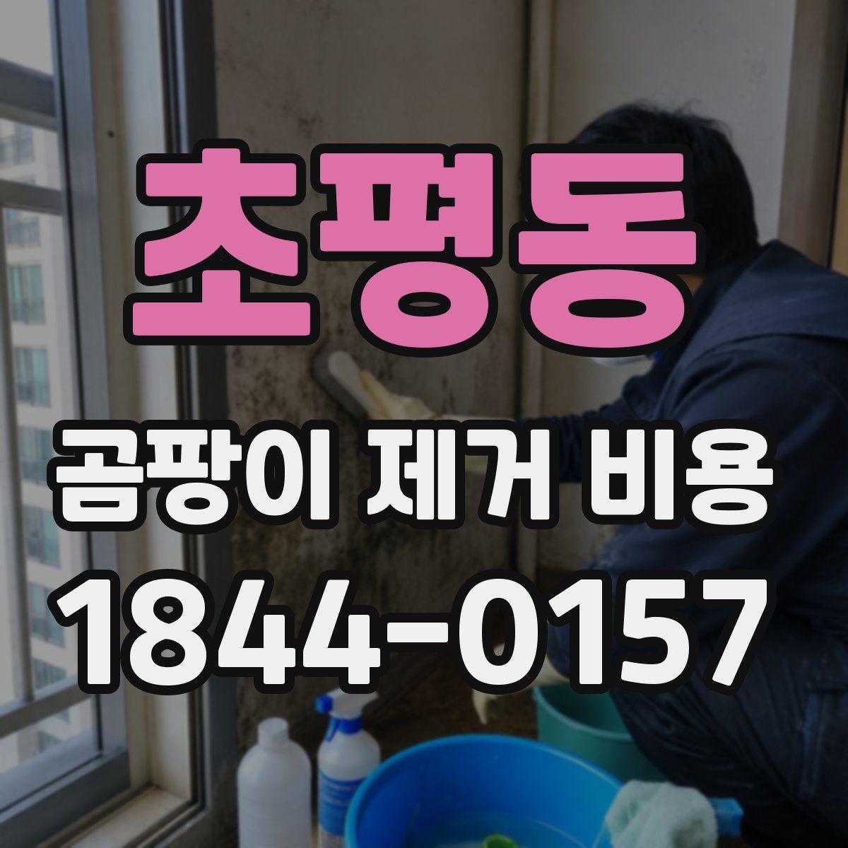 초평동 곰팡이 제거 비용