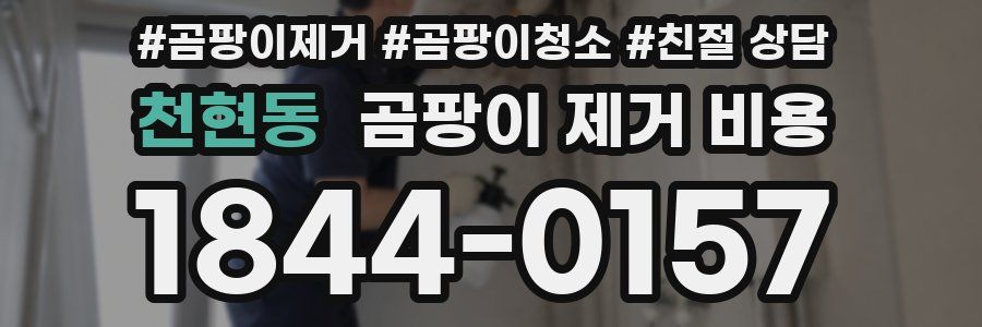 천현동 곰팡이 제거 비용
