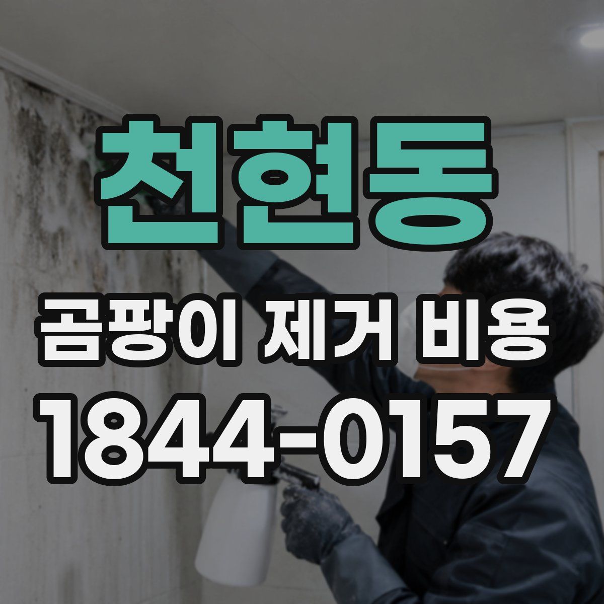천현동 곰팡이 제거 비용