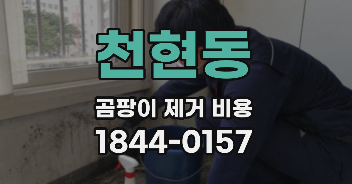 천현동 곰팡이 제거 비용