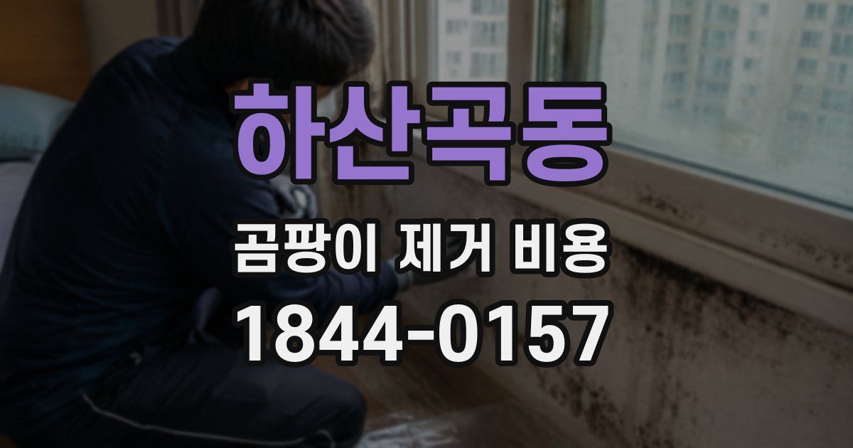 하산곡동 곰팡이 제거 비용