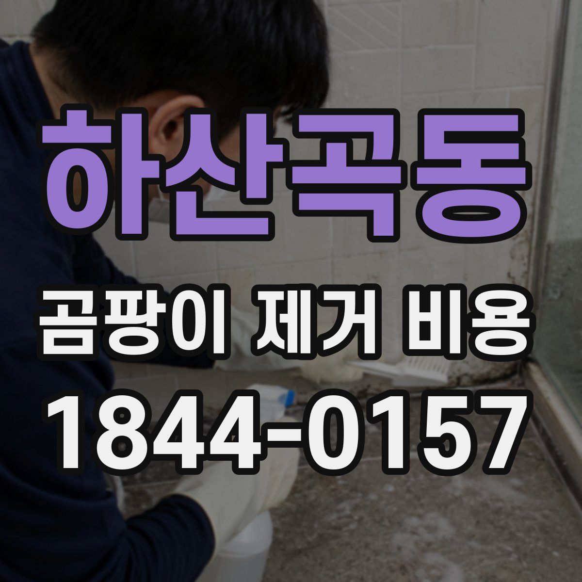 하산곡동 곰팡이 제거 비용