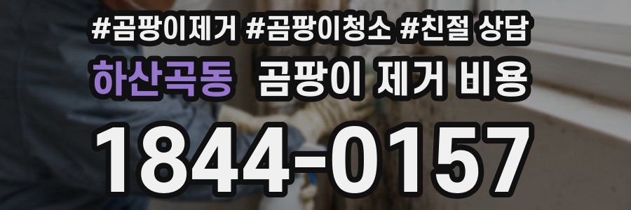 하산곡동 곰팡이 제거 비용