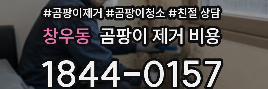 창우동 곰팡이 제거 비용