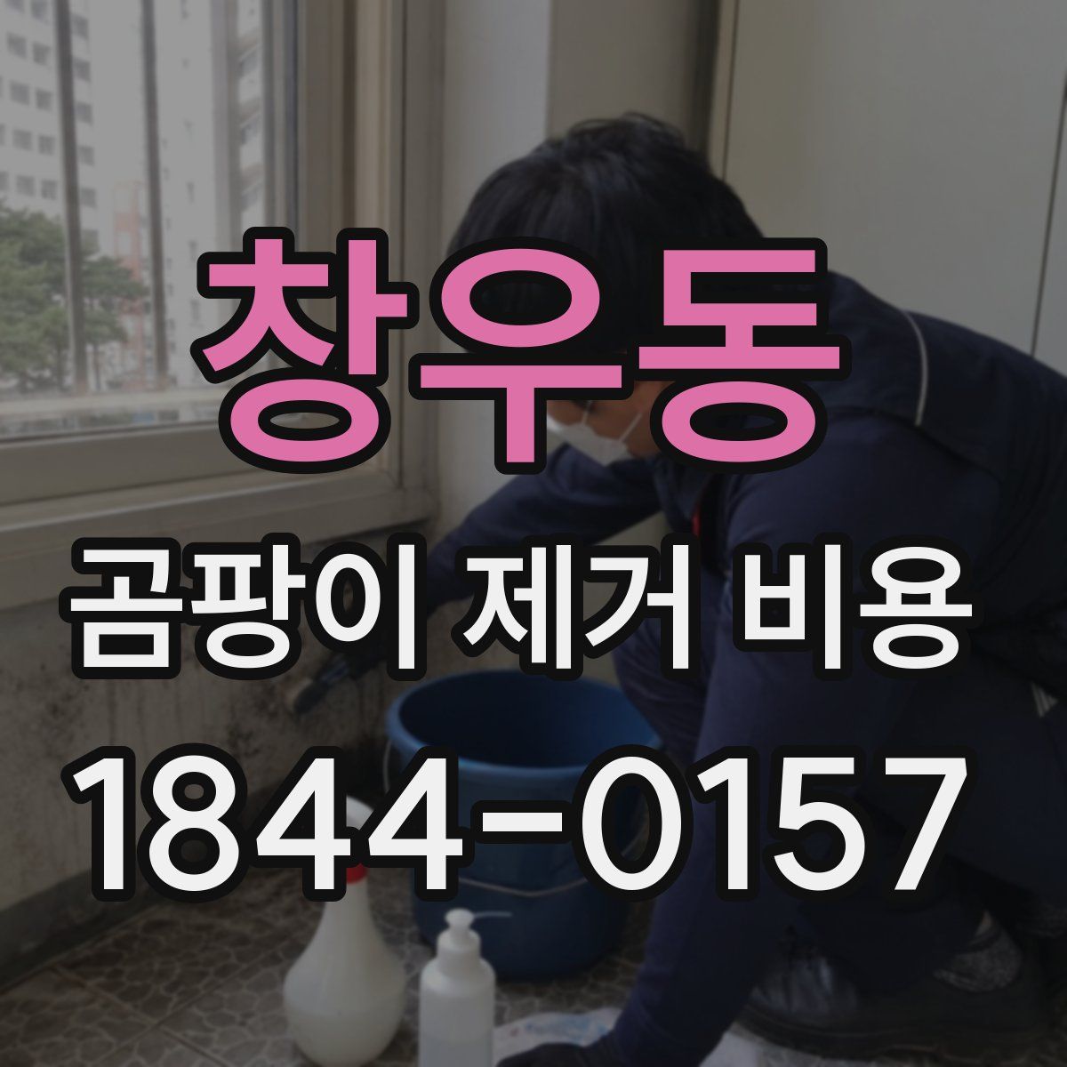창우동 곰팡이 제거 비용