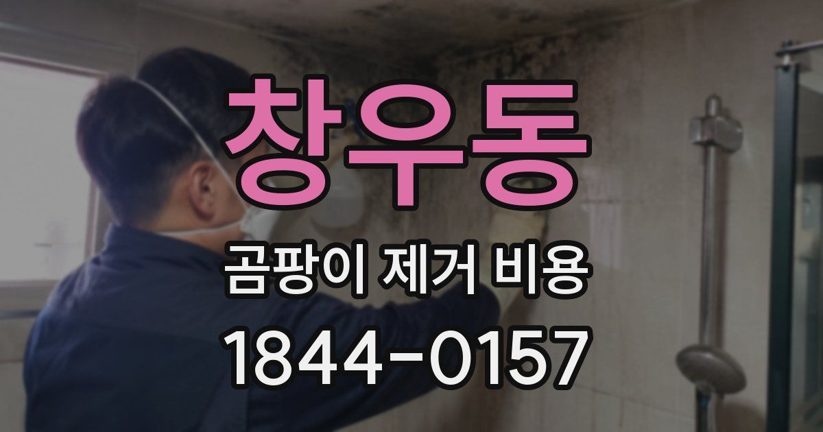 창우동 곰팡이 제거 비용
