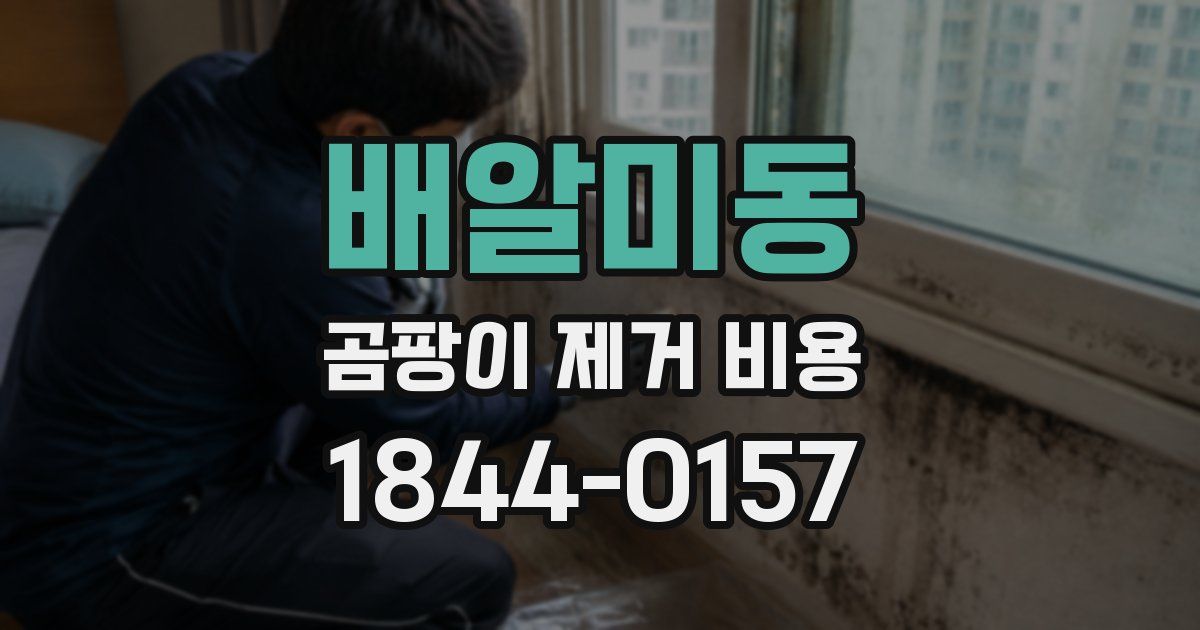 배알미동 곰팡이 제거 비용