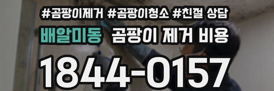 배알미동 곰팡이 제거 비용