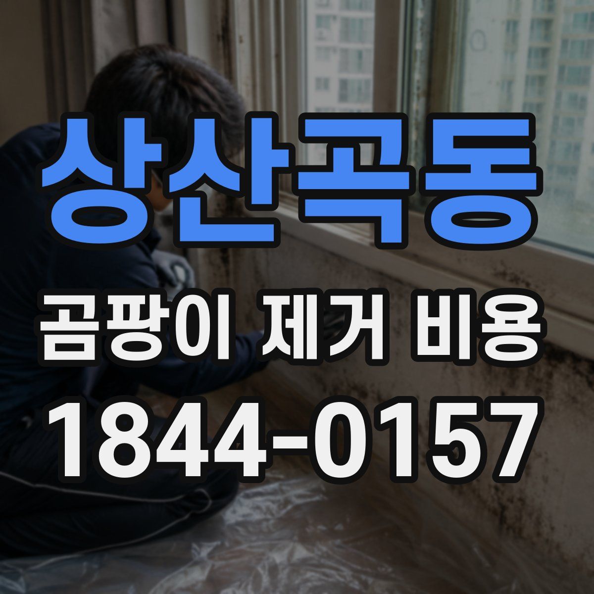 상산곡동 곰팡이 제거 비용