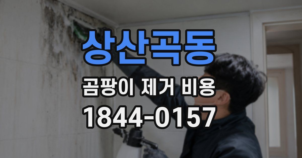 상산곡동 곰팡이 제거 비용