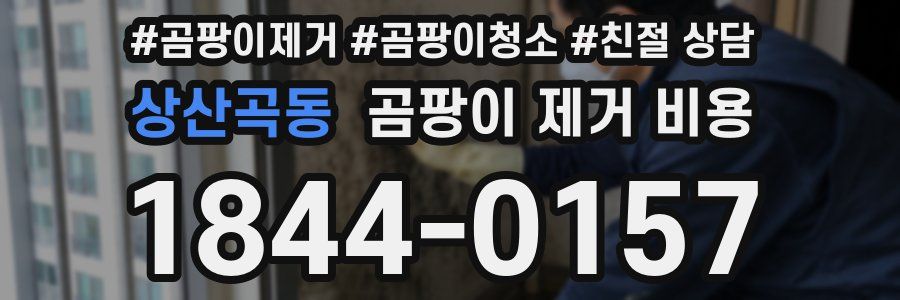 상산곡동 곰팡이 제거 비용