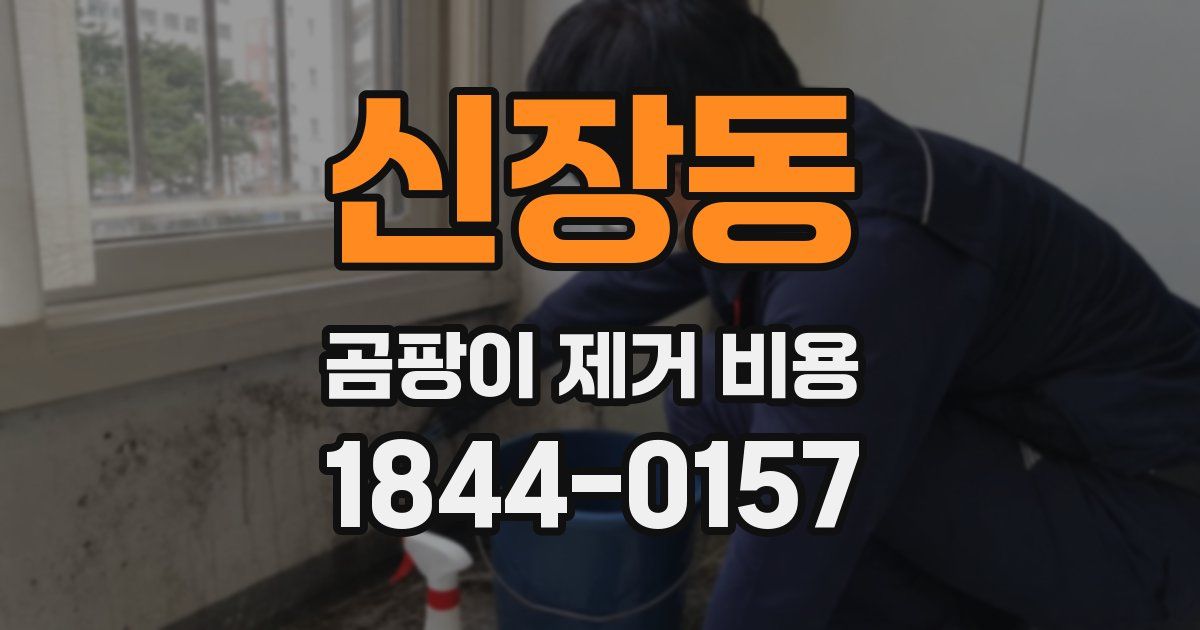 신장동 곰팡이 제거 비용