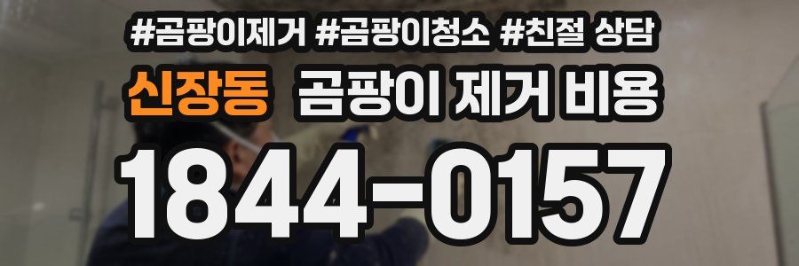 신장동 곰팡이 제거 비용