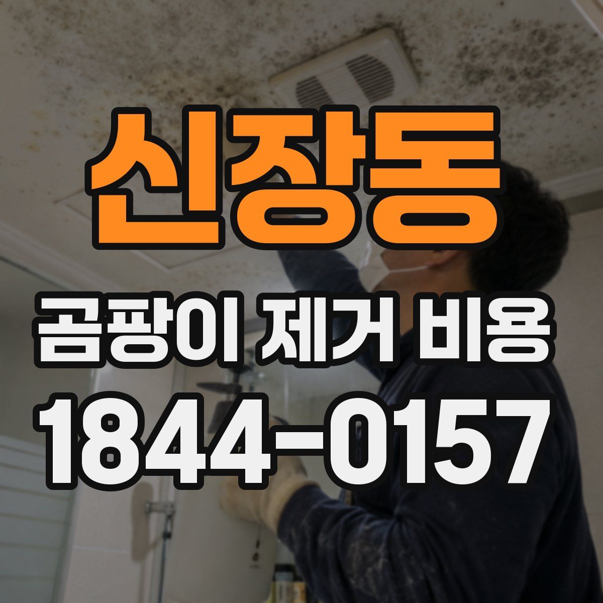 신장동 곰팡이 제거 비용