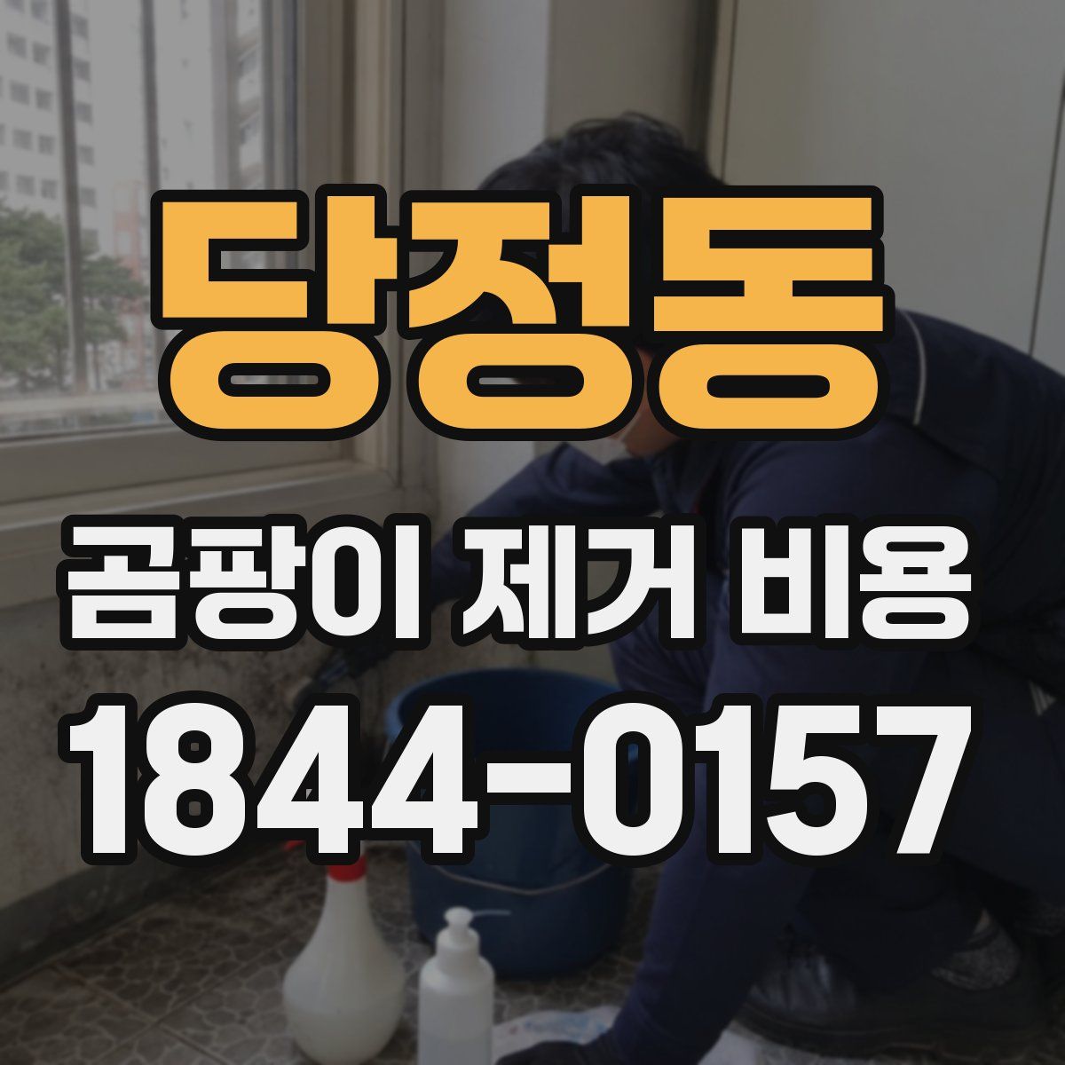 당정동 곰팡이 제거 비용