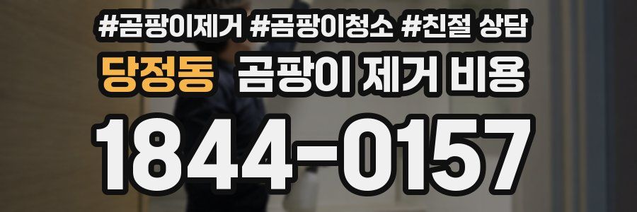 당정동 곰팡이 제거 비용