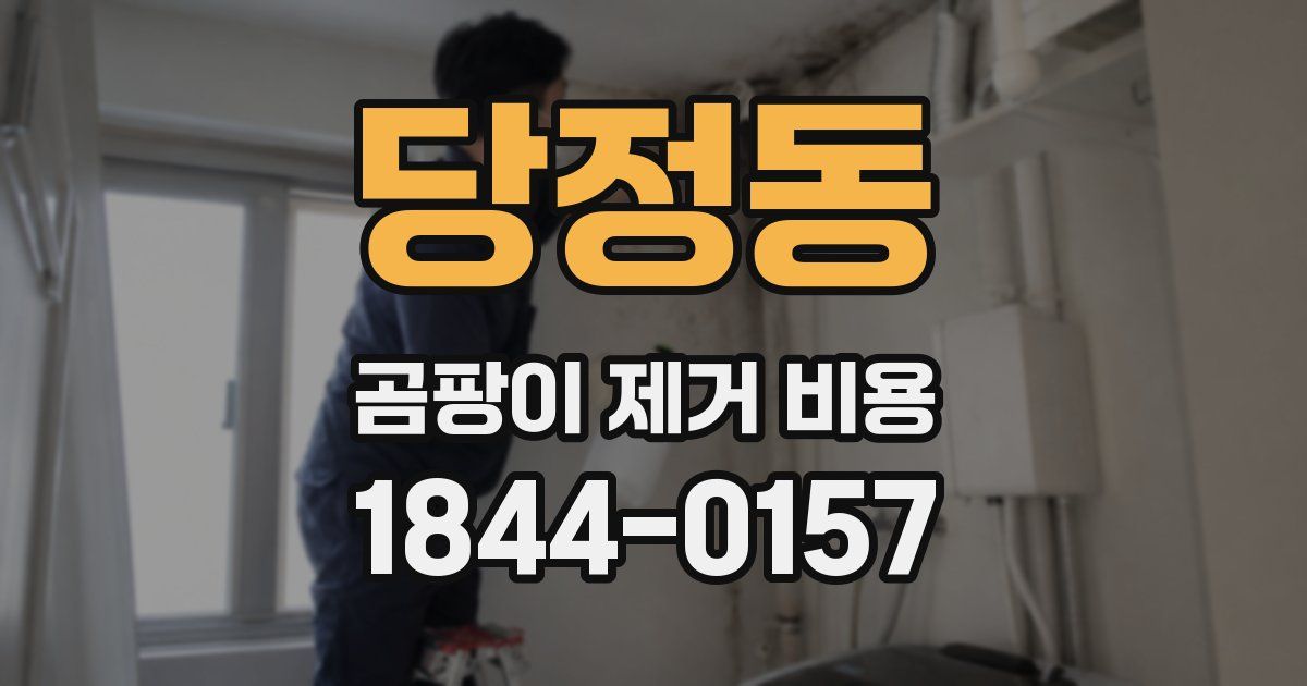 당정동 곰팡이 제거 비용