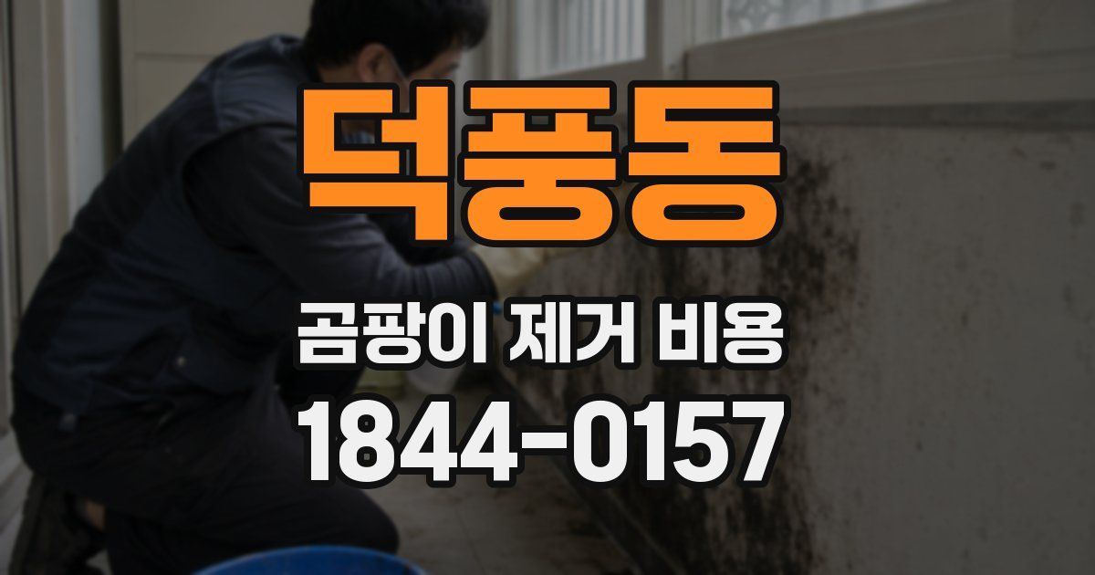덕풍동 곰팡이 제거 비용