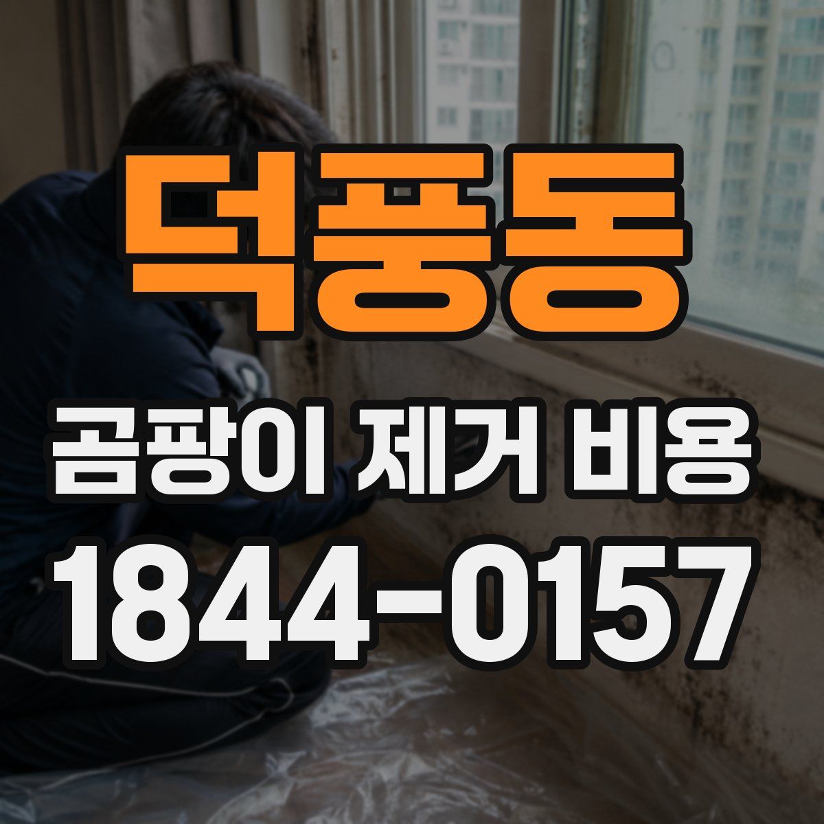 덕풍동 곰팡이 제거 비용