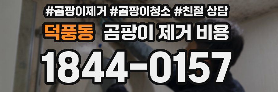 덕풍동 곰팡이 제거 비용