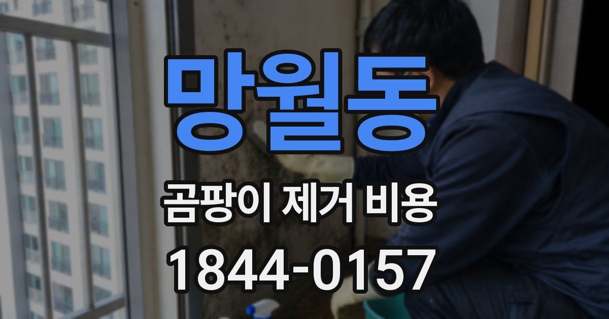 망월동 곰팡이 제거 비용