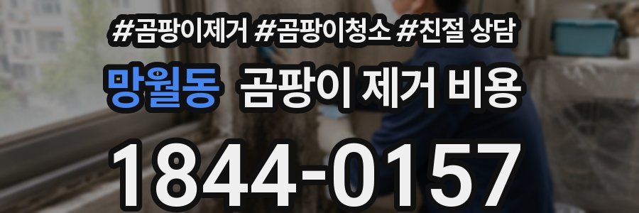 망월동 곰팡이 제거 비용
