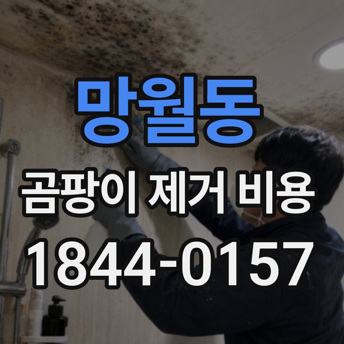 망월동 곰팡이 제거 비용