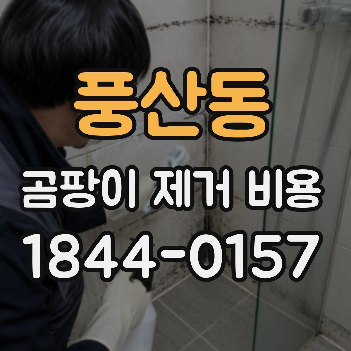 풍산동 곰팡이 제거 비용