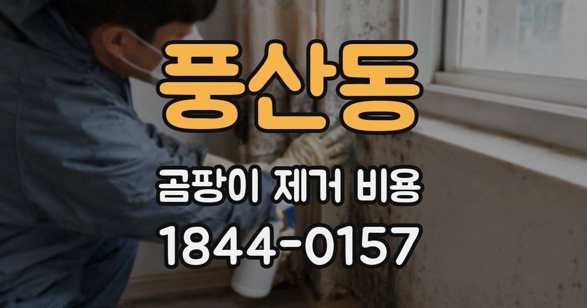 풍산동 곰팡이 제거 비용