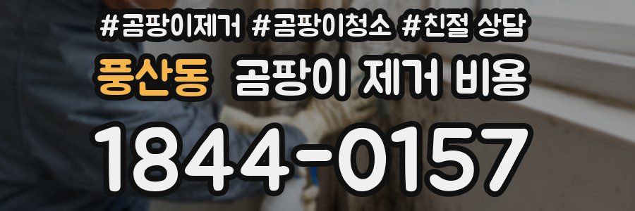 풍산동 곰팡이 제거 비용
