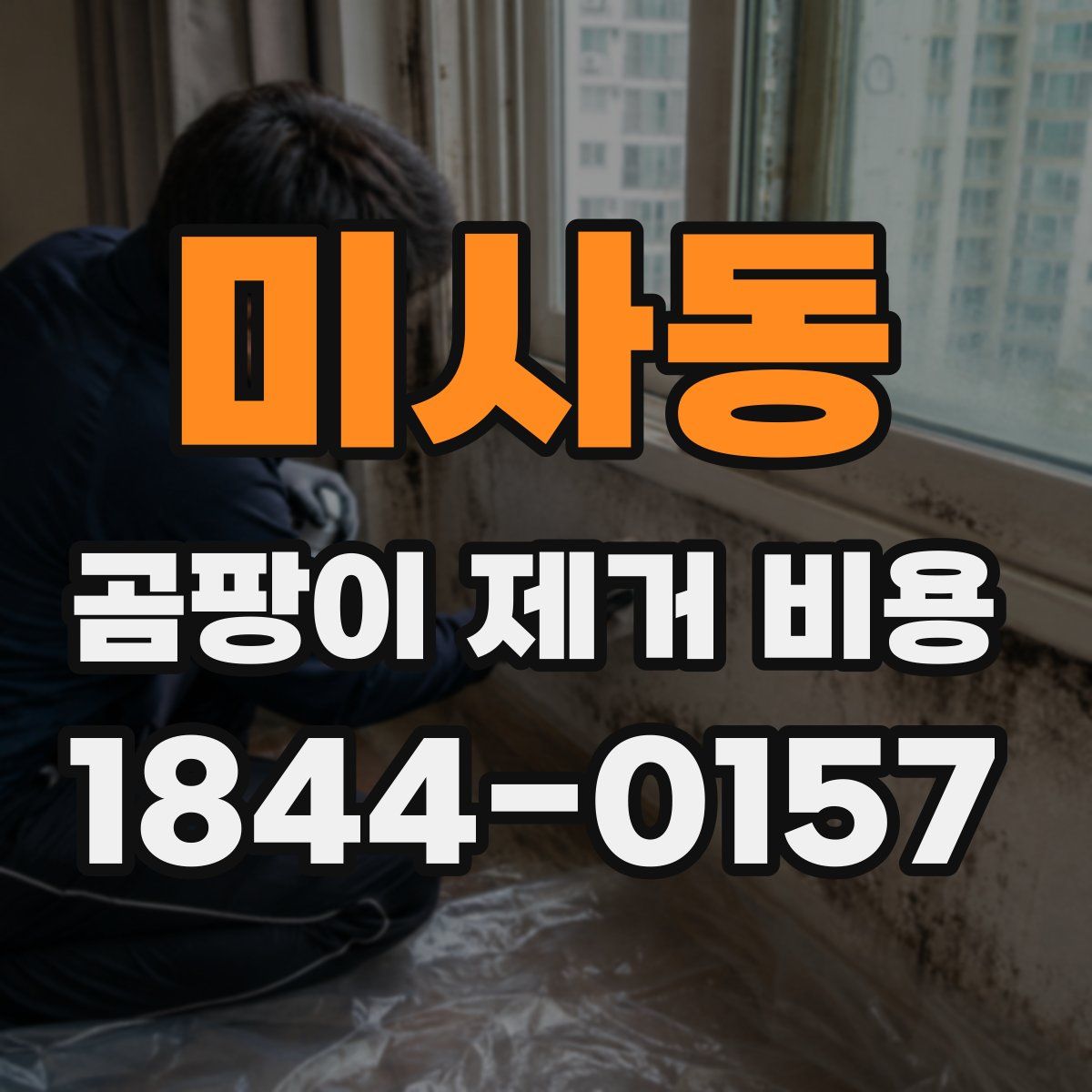 미사동 곰팡이 제거 비용