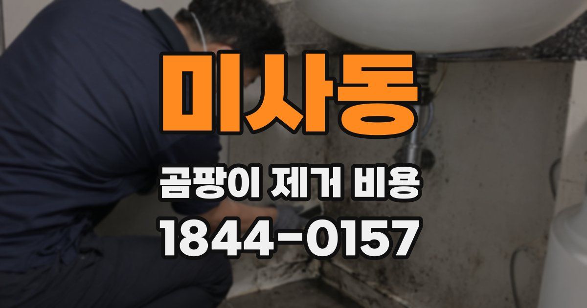 미사동 곰팡이 제거 비용