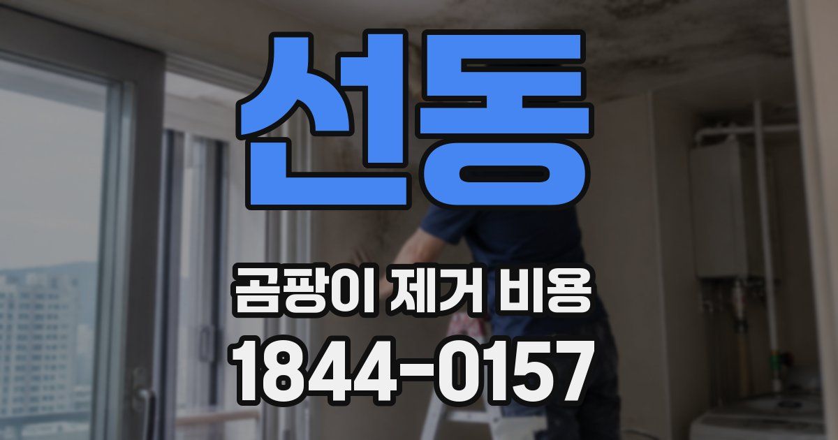 선동 곰팡이 제거 비용
