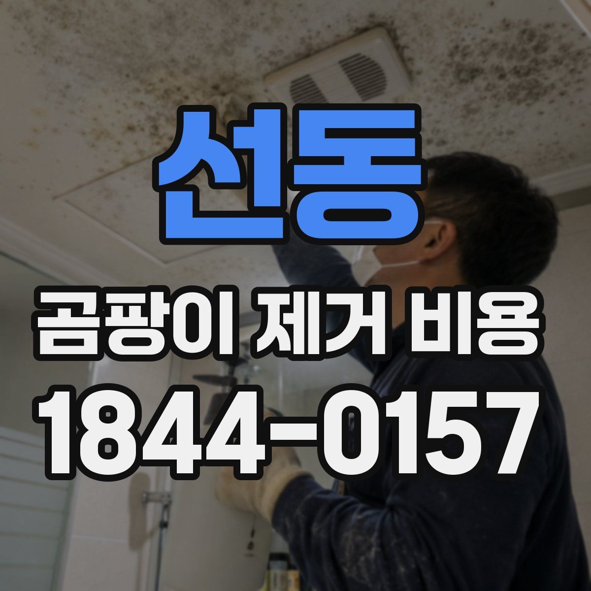 선동 곰팡이 제거 비용
