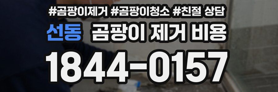 선동 곰팡이 제거 비용