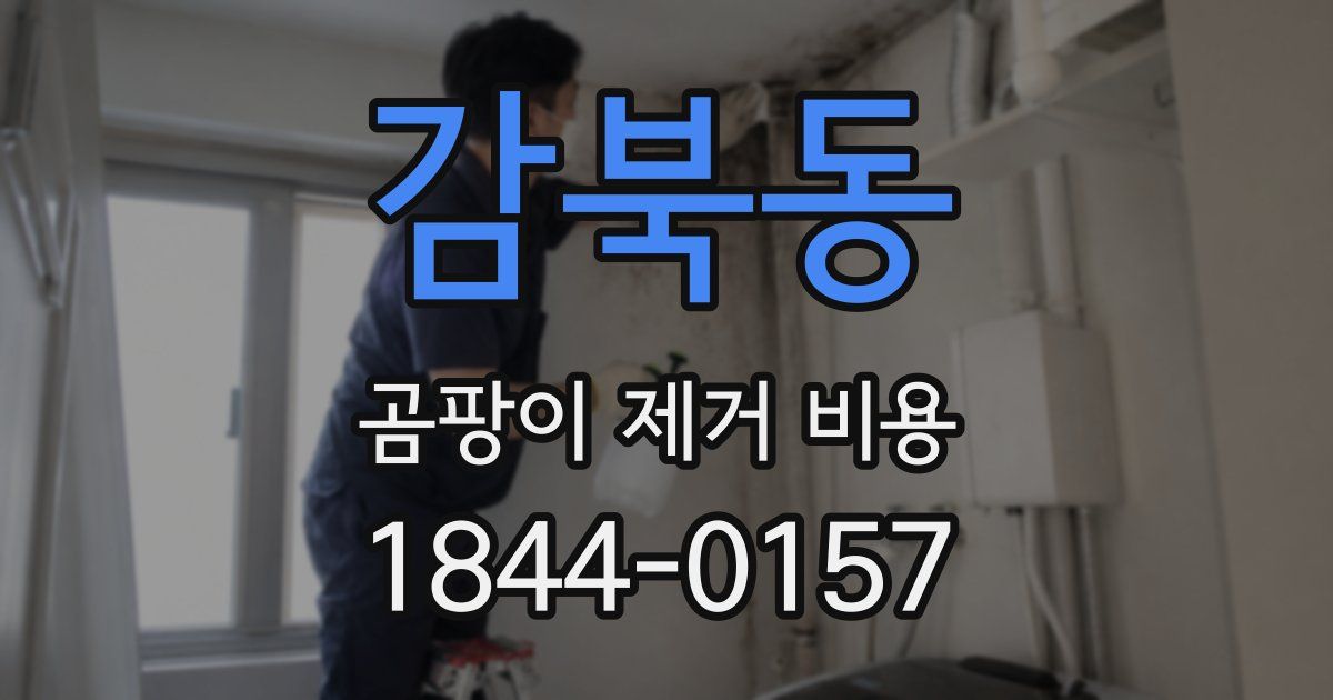 감북동 곰팡이 제거 비용