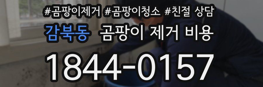 감북동 곰팡이 제거 비용