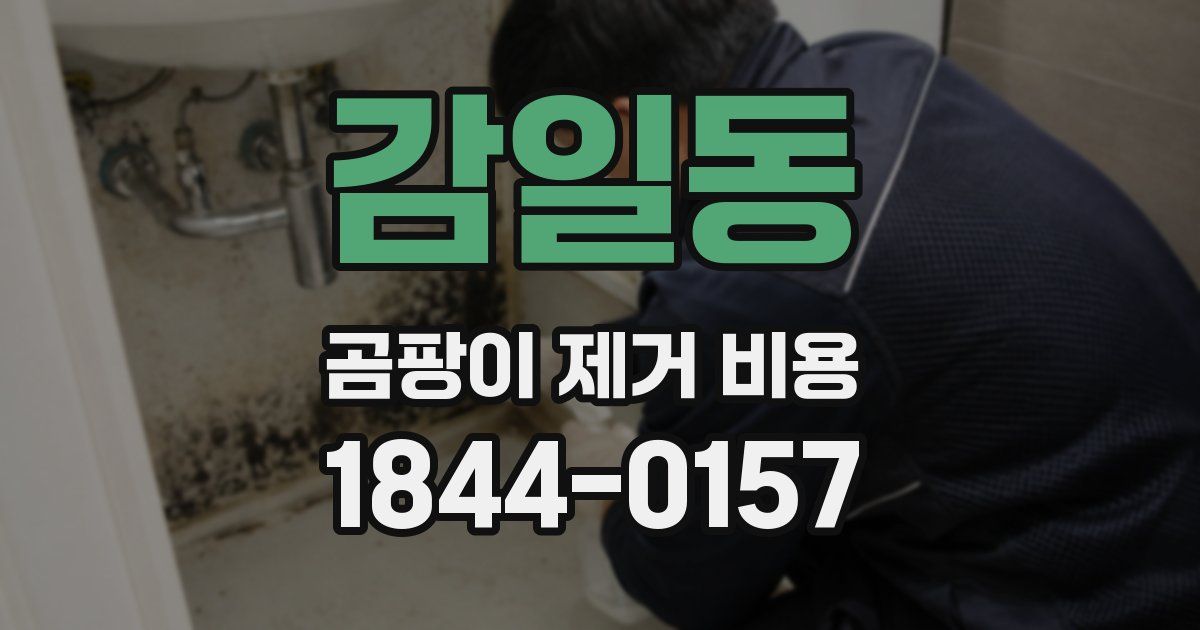 감일동 곰팡이 제거 비용