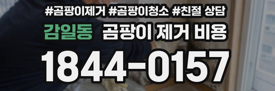 감일동 곰팡이 제거 비용